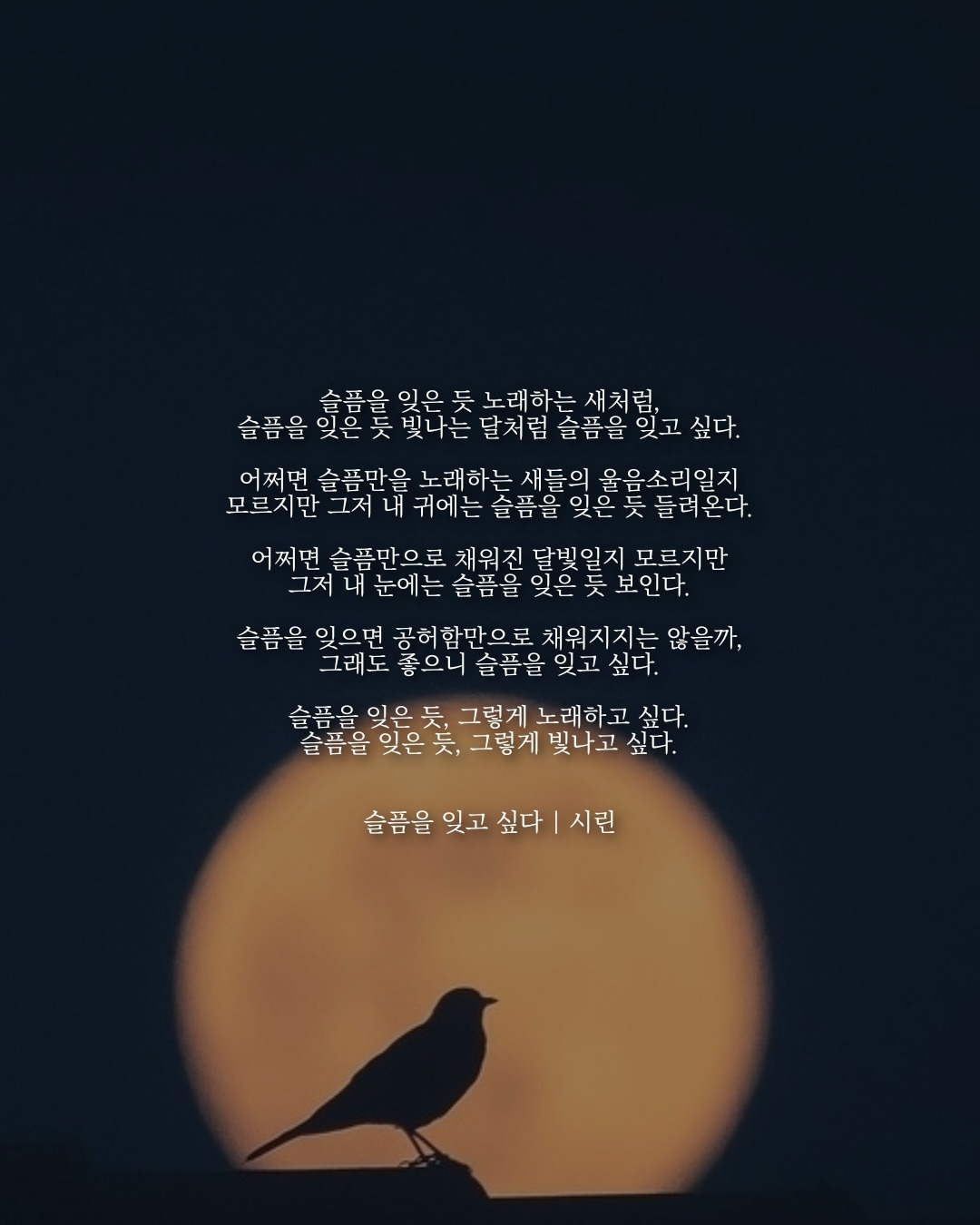 슬픔을 잊고 싶다.jpg