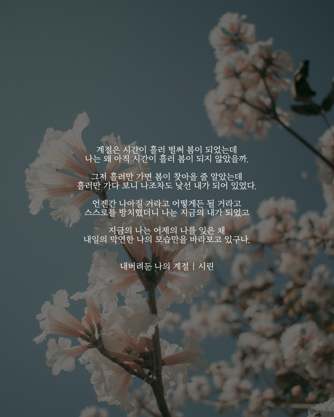 내버려 둔 나의 계절.jpg