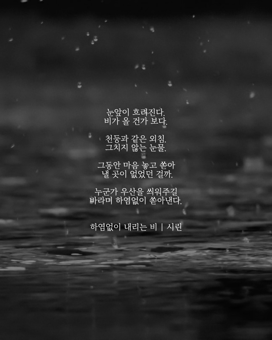 하염없이 내리는 비.jpg