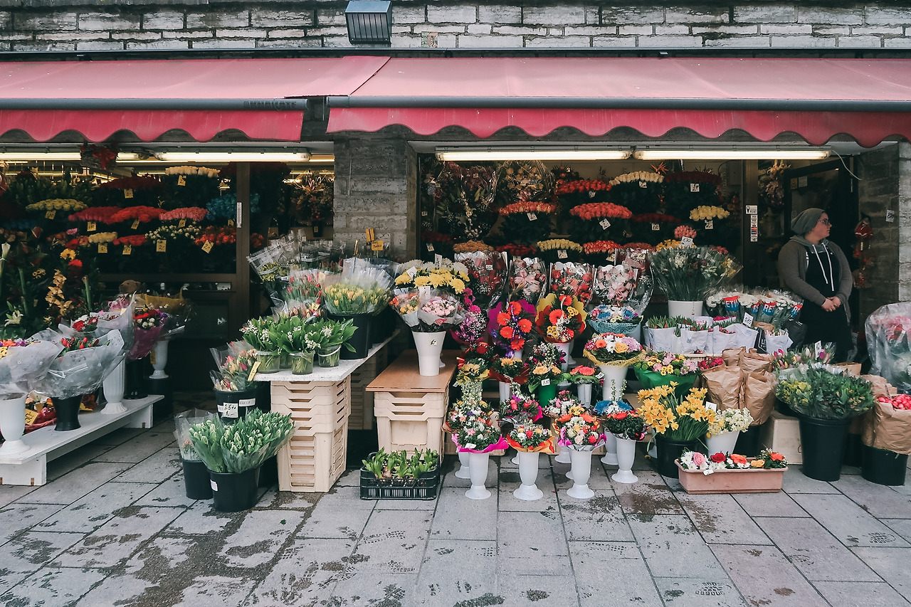 6174598176_IMG_0617 copy.jpg