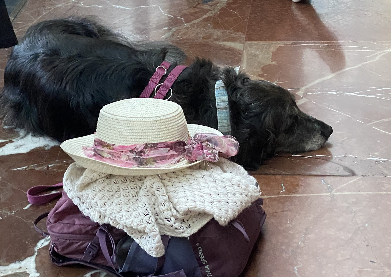 역과 멍멍이.jpg