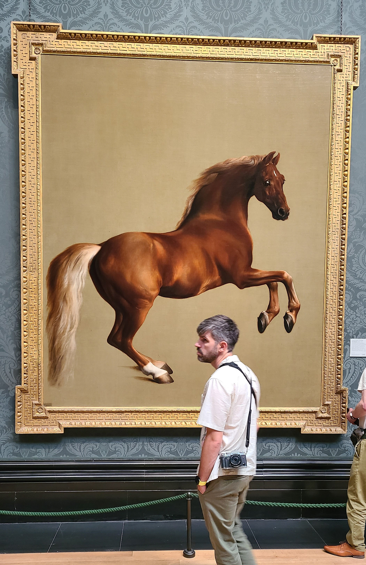 네셔날 갤러리 말.jpg