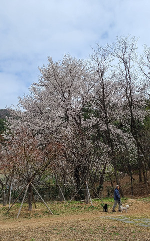 20230322_123625 (2).jpg