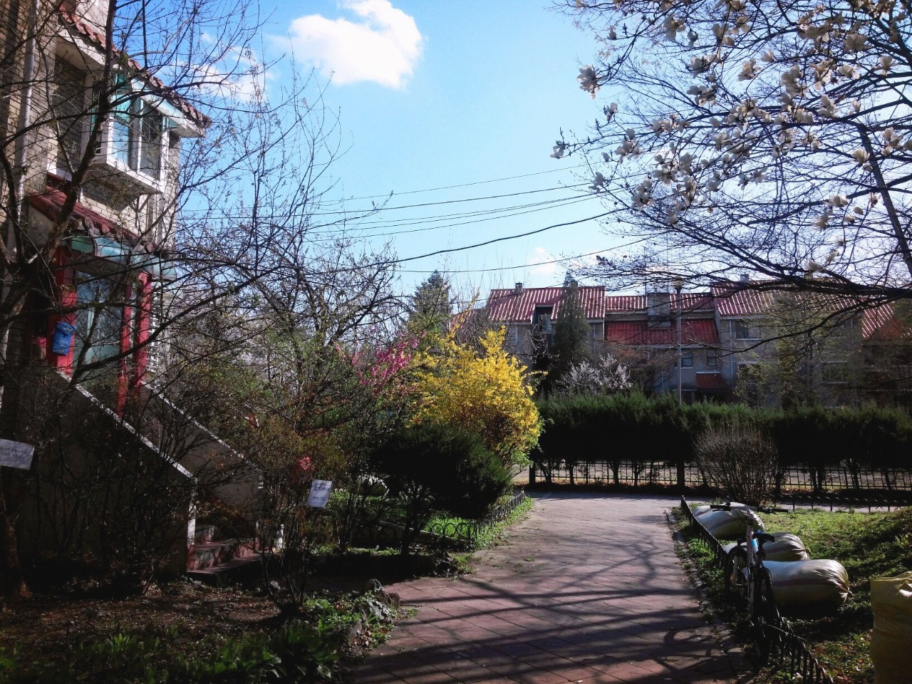 202109 흐지부지hzbz_얼렁뚱땅_우주인터뷰_7호_인터뷰가는길2.jpg