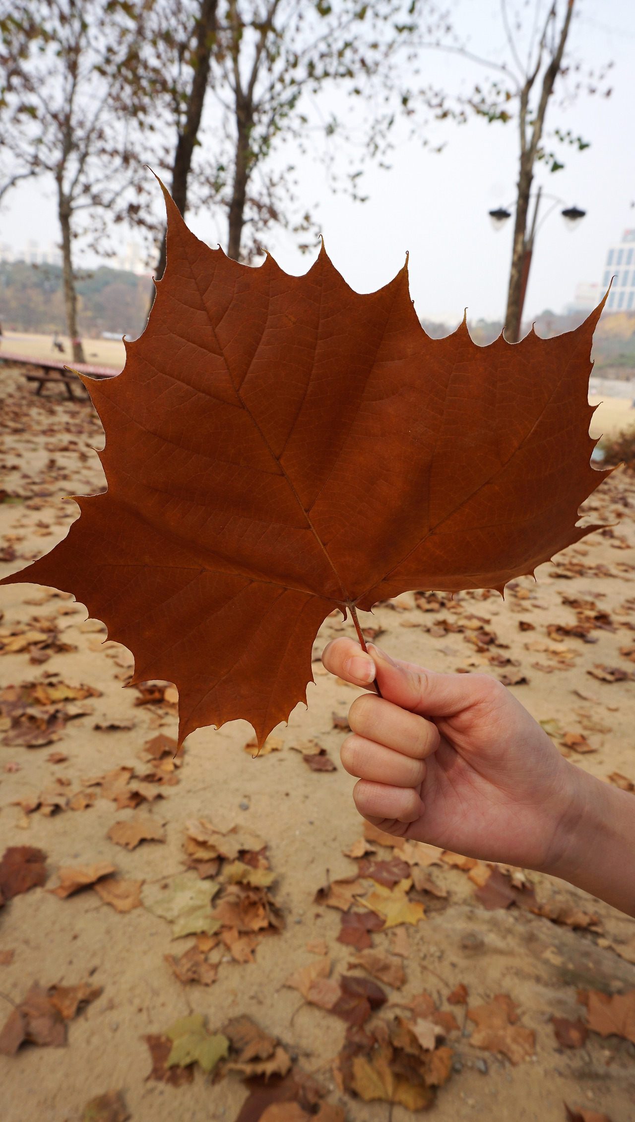 202012 흐지부지hzbz_우주인터뷰_흐지_Sub Photo4.jpg