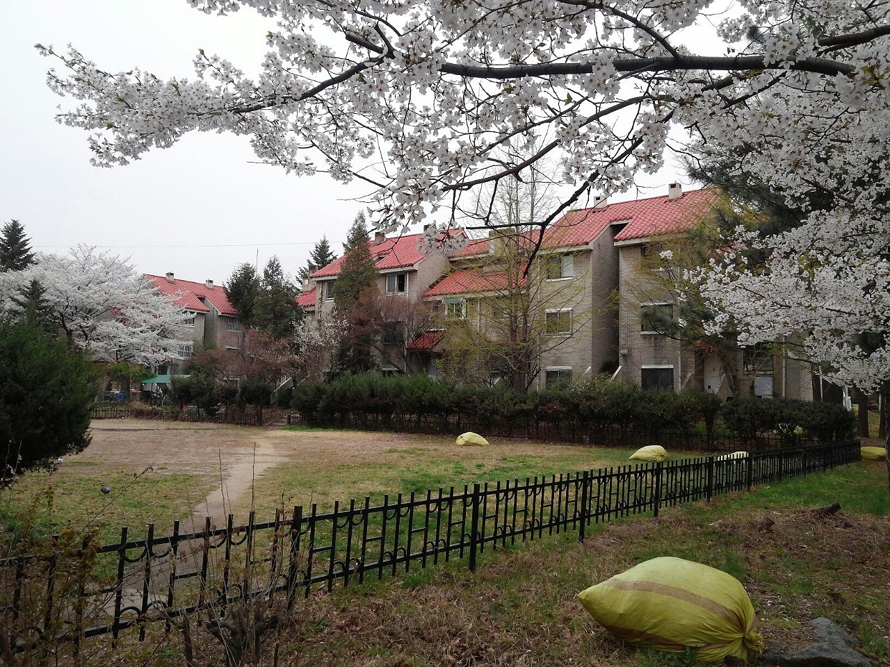 202109 흐지부지hzbz_얼렁뚱땅_우주인터뷰_7호_인터뷰가는길3.jpg