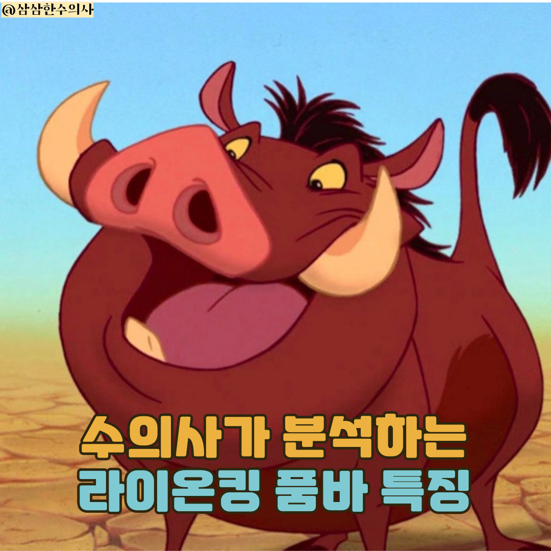 수의사가 보는 동물 캐릭터] 라이온킹 품바