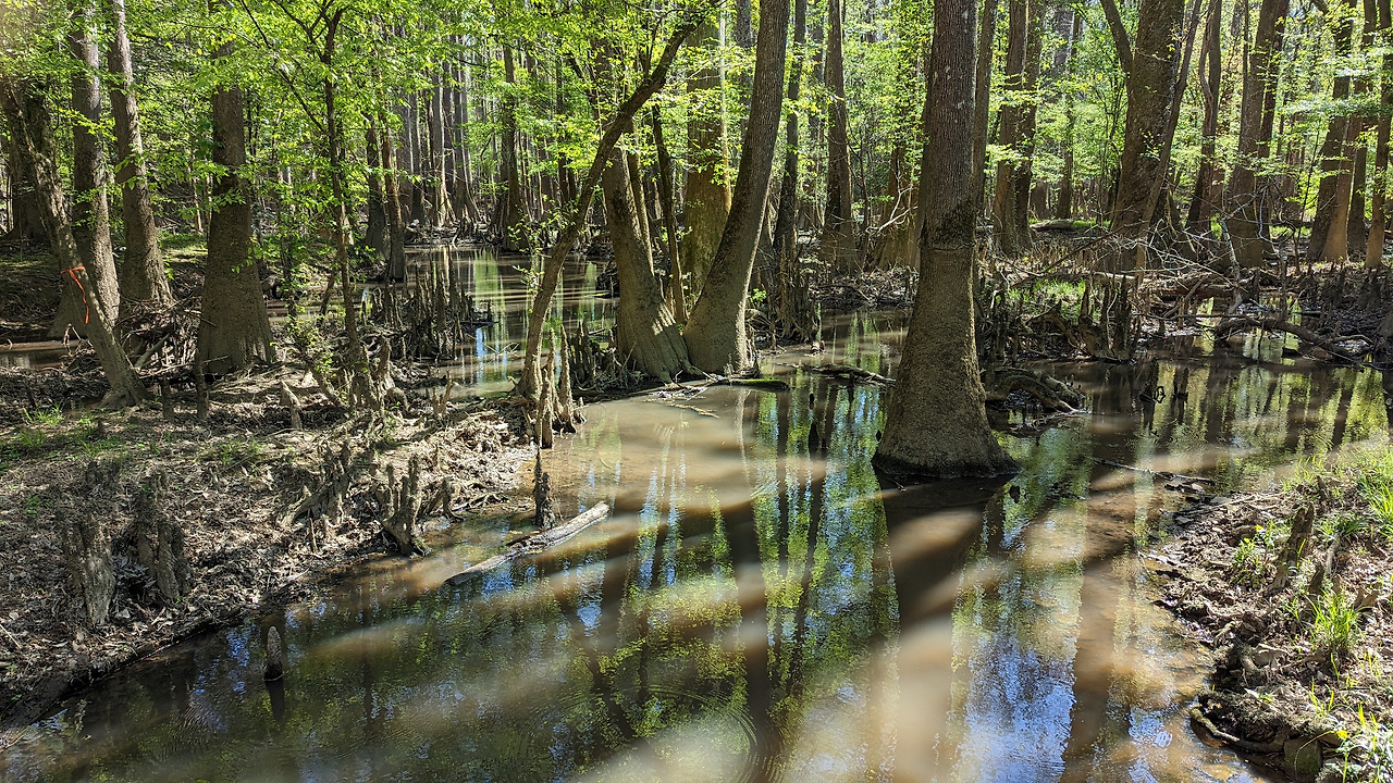 PXL_20230324_192724423 (1).jpg