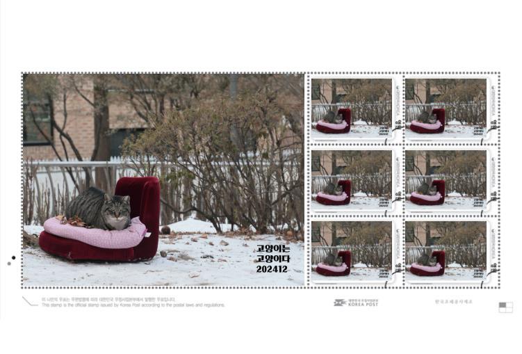 GOMCAM 20250101_1645530690.jpg