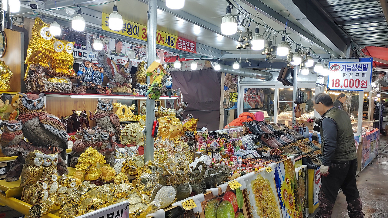 20230312_170604_HDR - 복사본.jpg