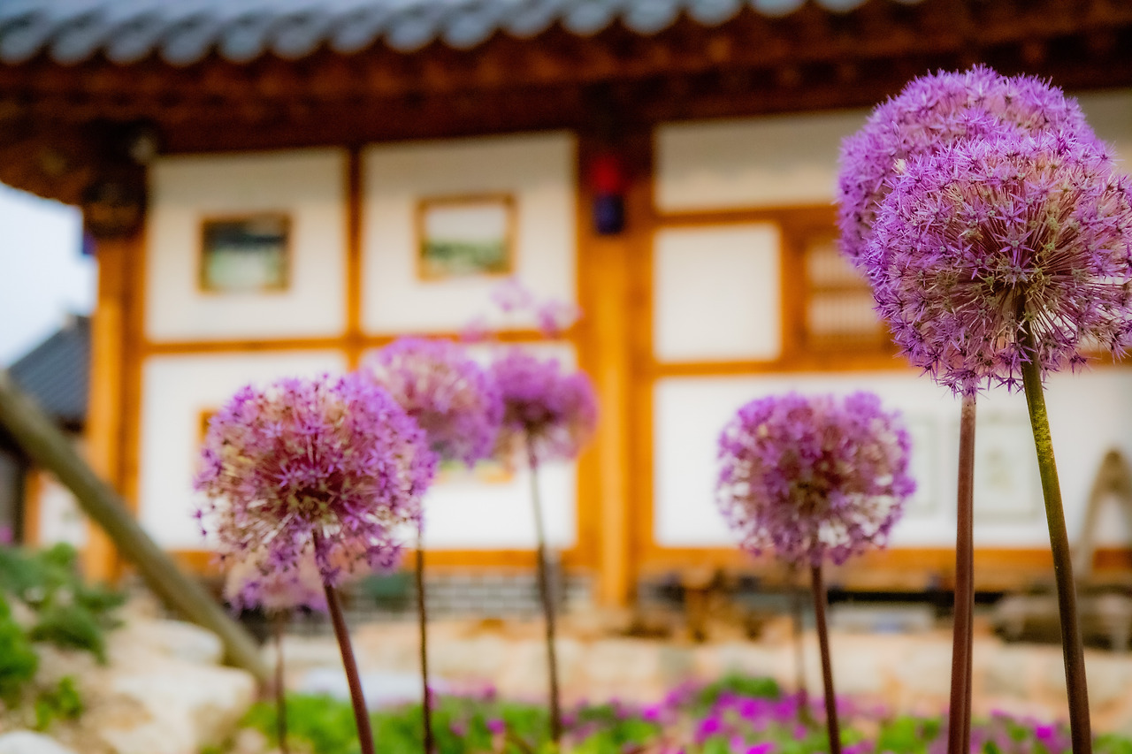 1-5. 함파우소리체험관 (9).jpg