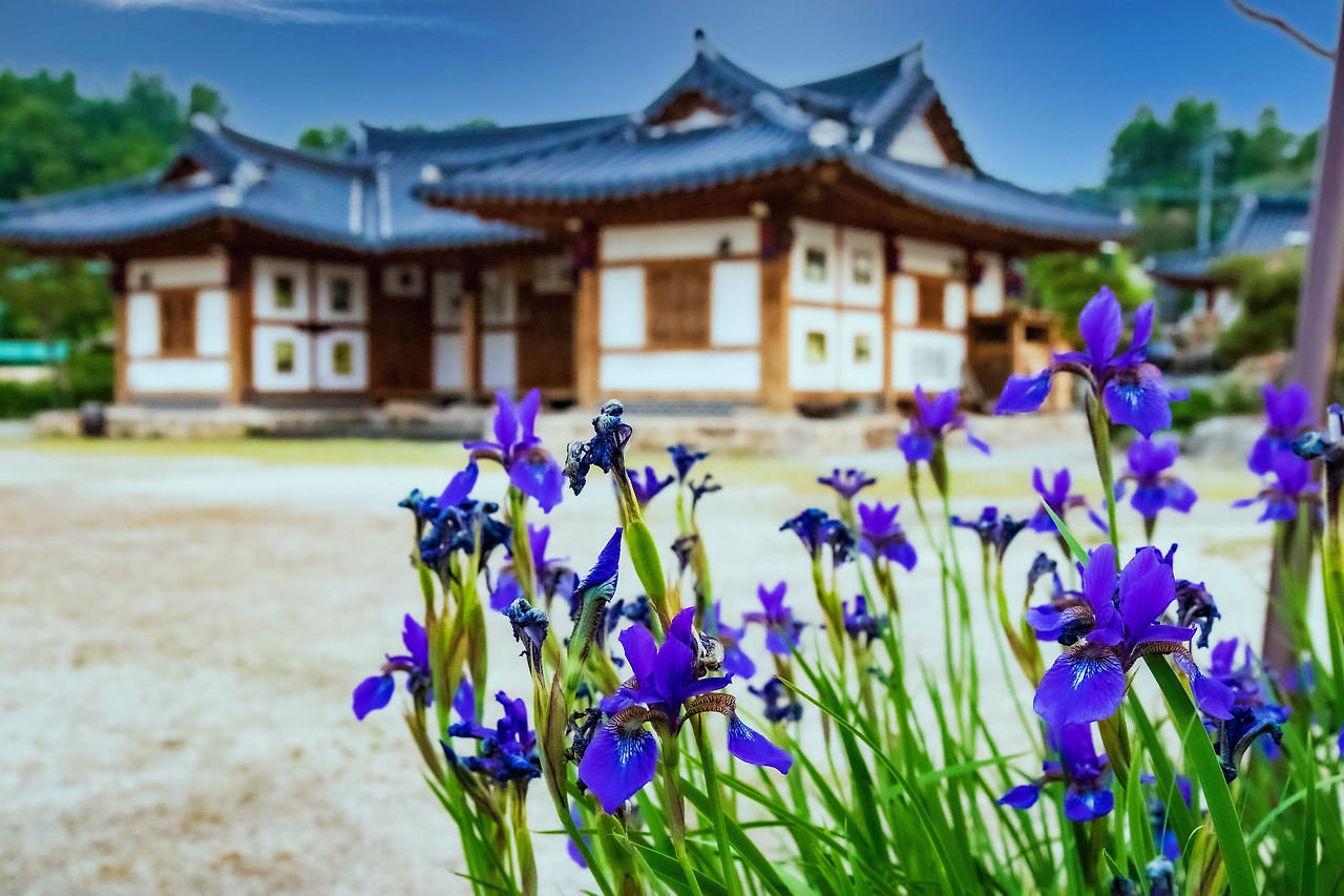 1-5. 함파우소리체험관 (10).jpg