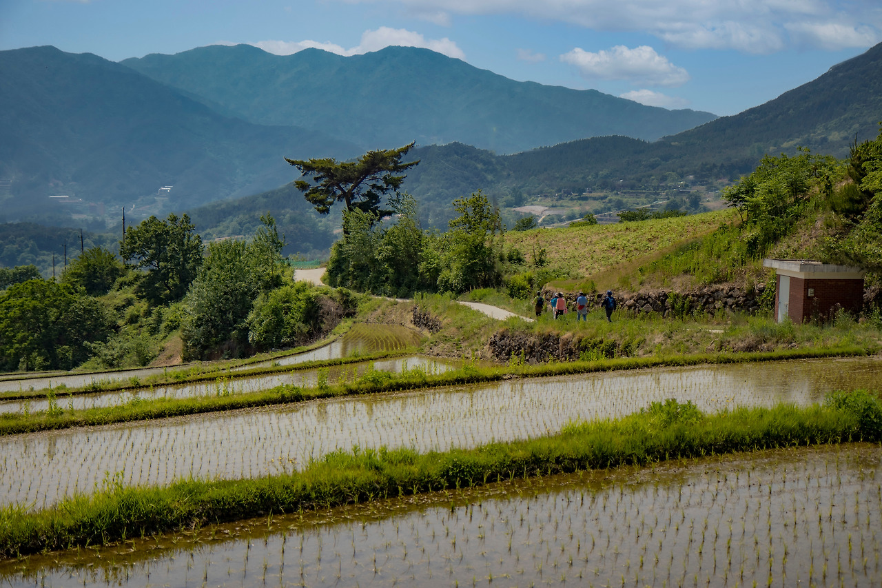 5-1. 사람책 및 지리산 둘레길 (14).jpg