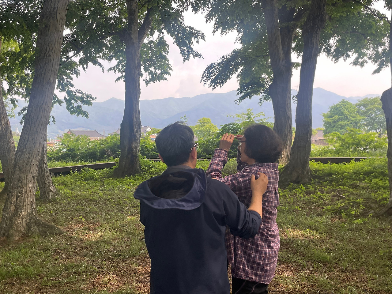 3-3. 서어나무숲 (76) (1).jpg