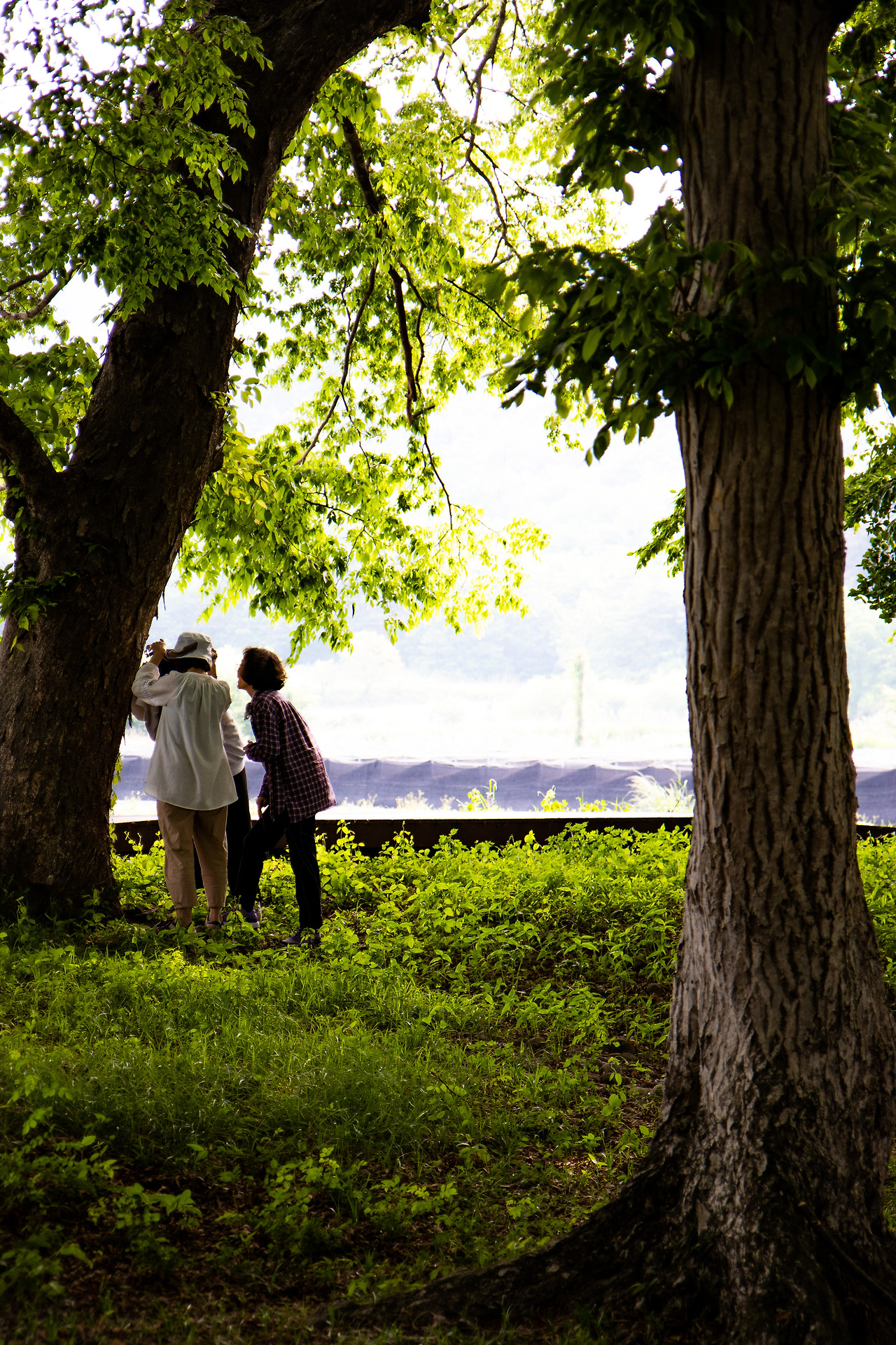 3-3. 서어나무숲 (47).jpg