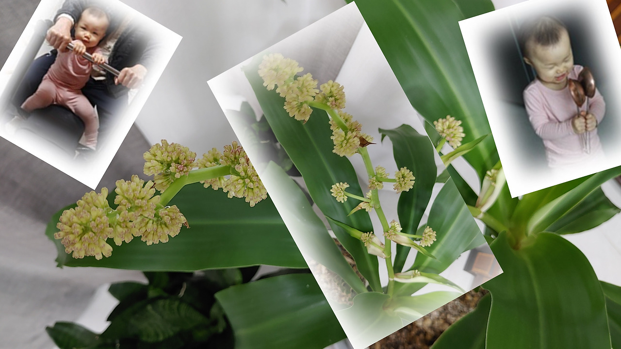 최종수정 20211124_201716.jpg