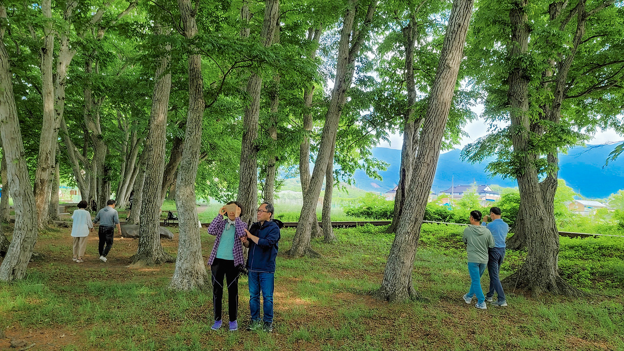 3-3. 서어나무숲 (61).jpg