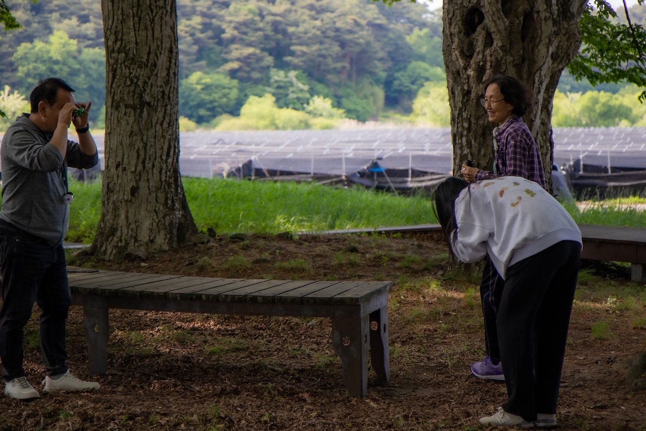 3-3. 서어나무숲 (30).jpg