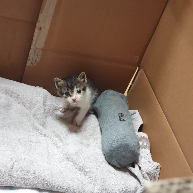 1621308329765-1 (1).jpg