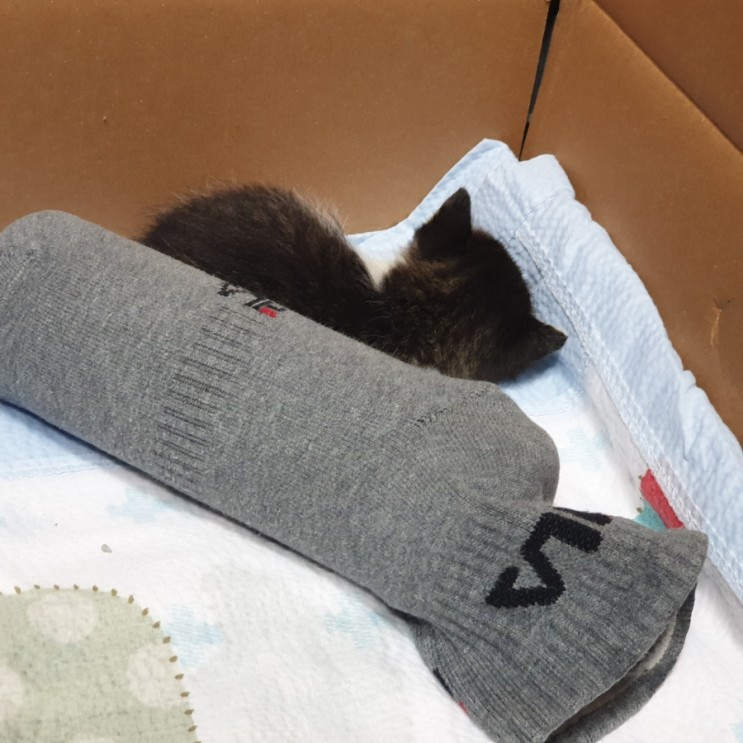 1621308333751 (1).jpg