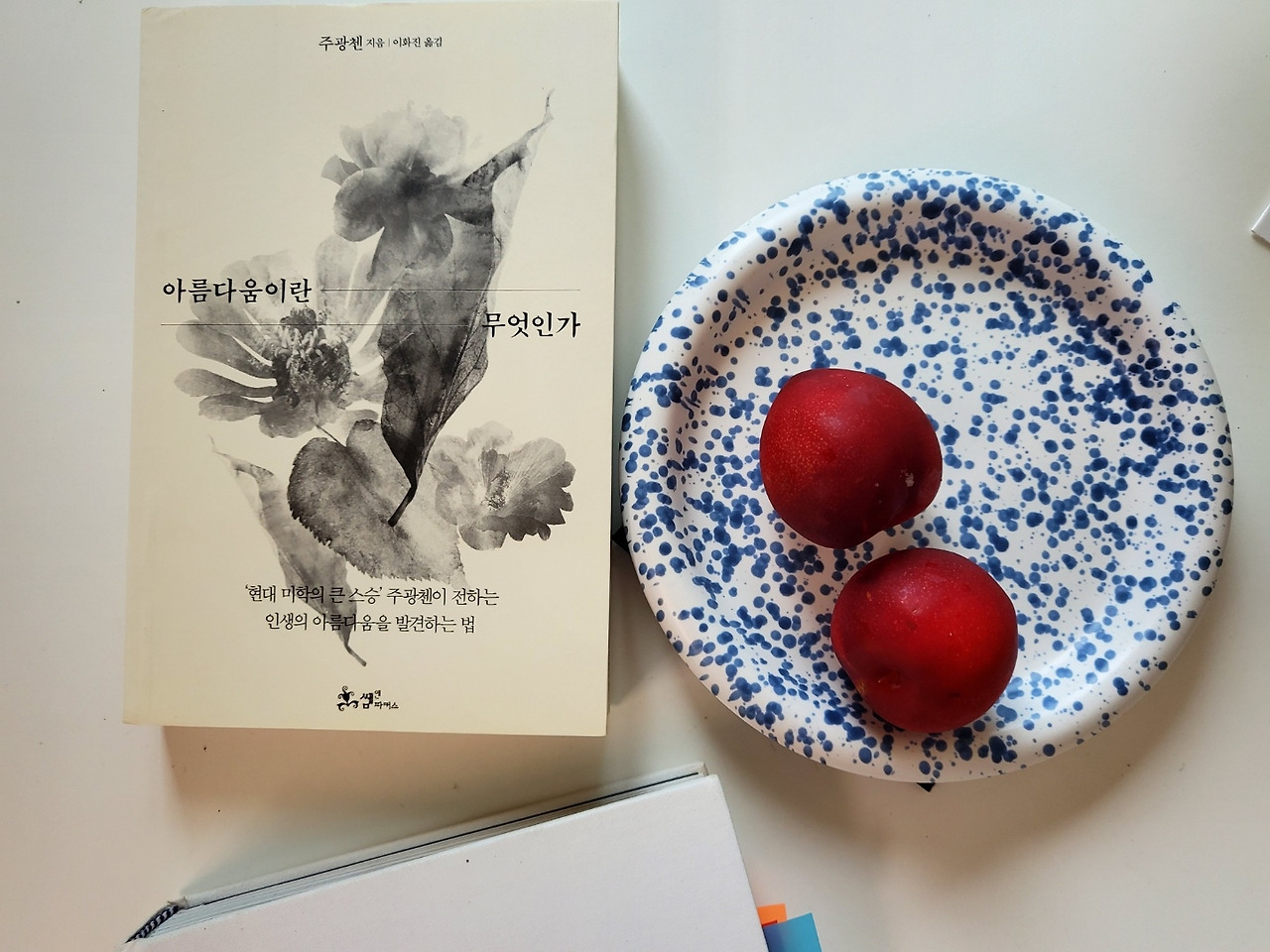 6. 아름다움책.jpg