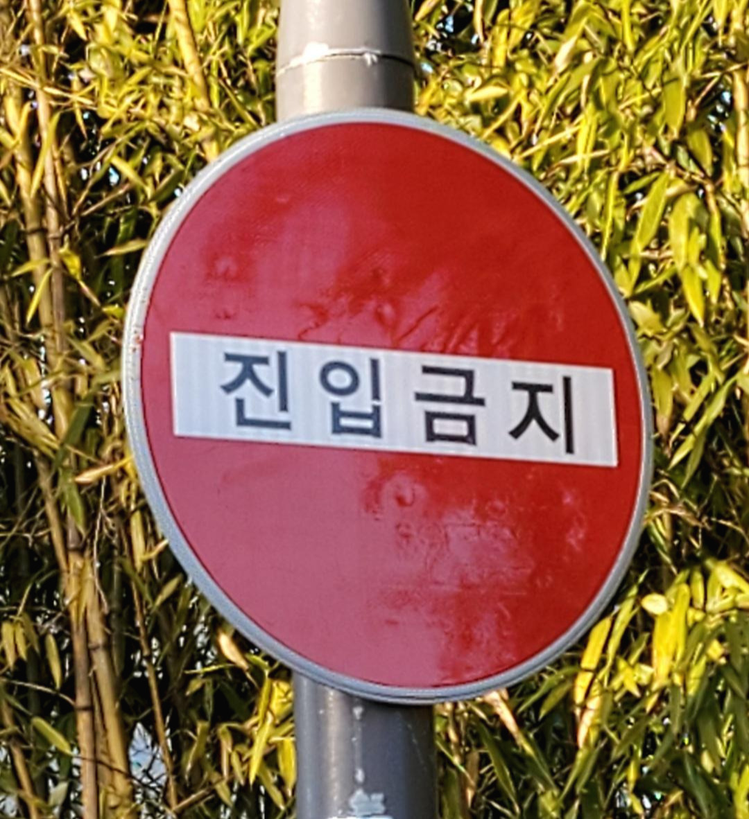 진입금지.jpg