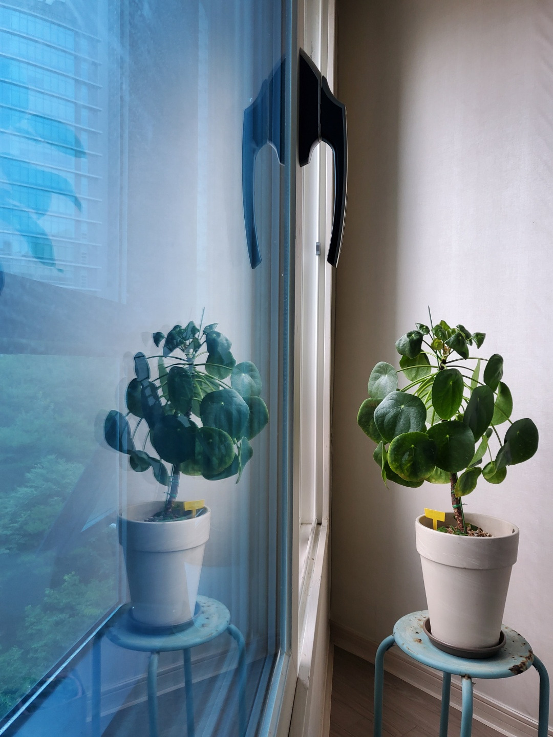 시작 이미지.jpg