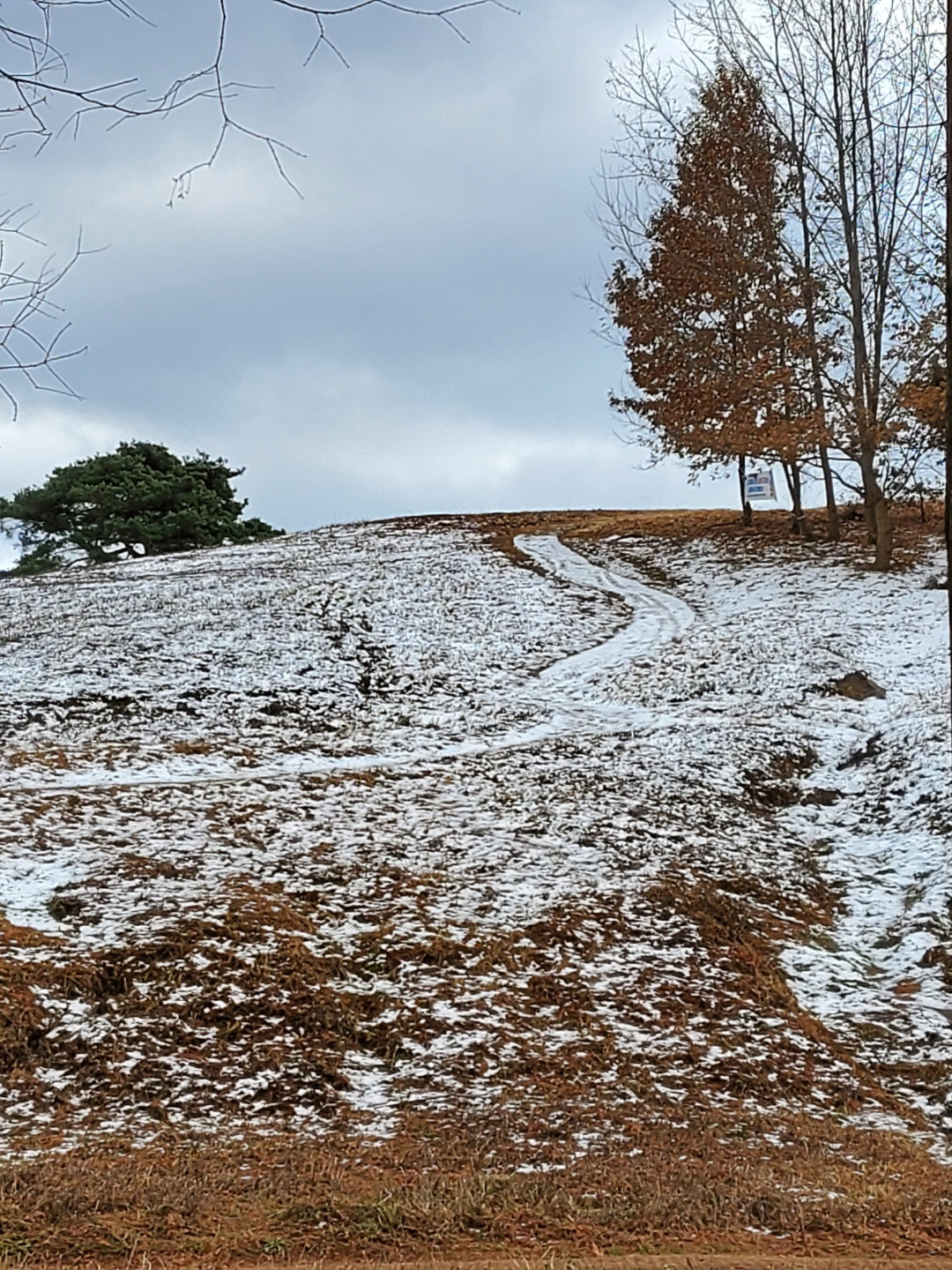 광주호 생태공원 길_2.jpg