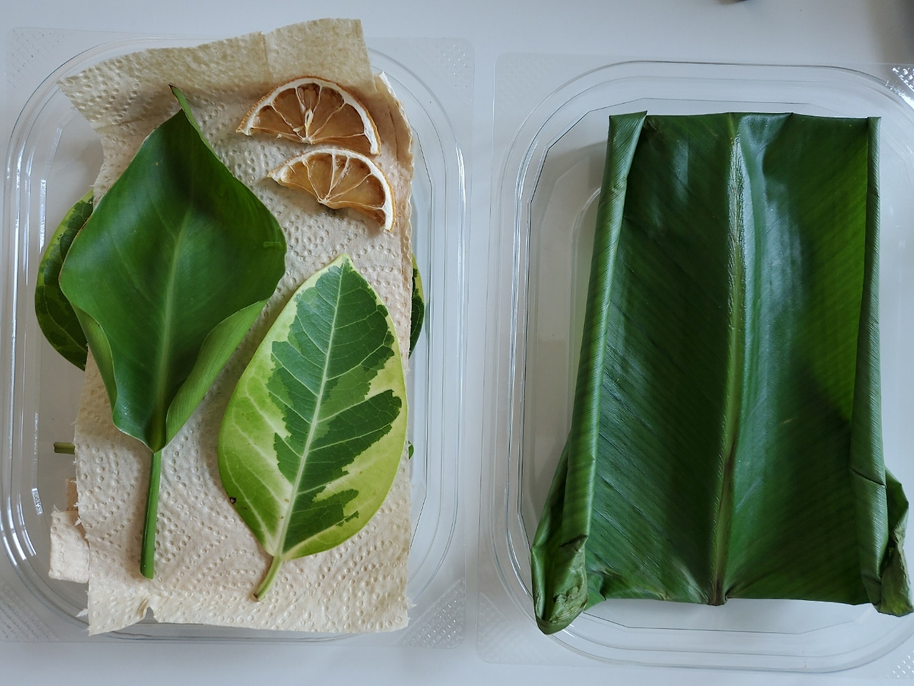 냉장고보관 2.jpg