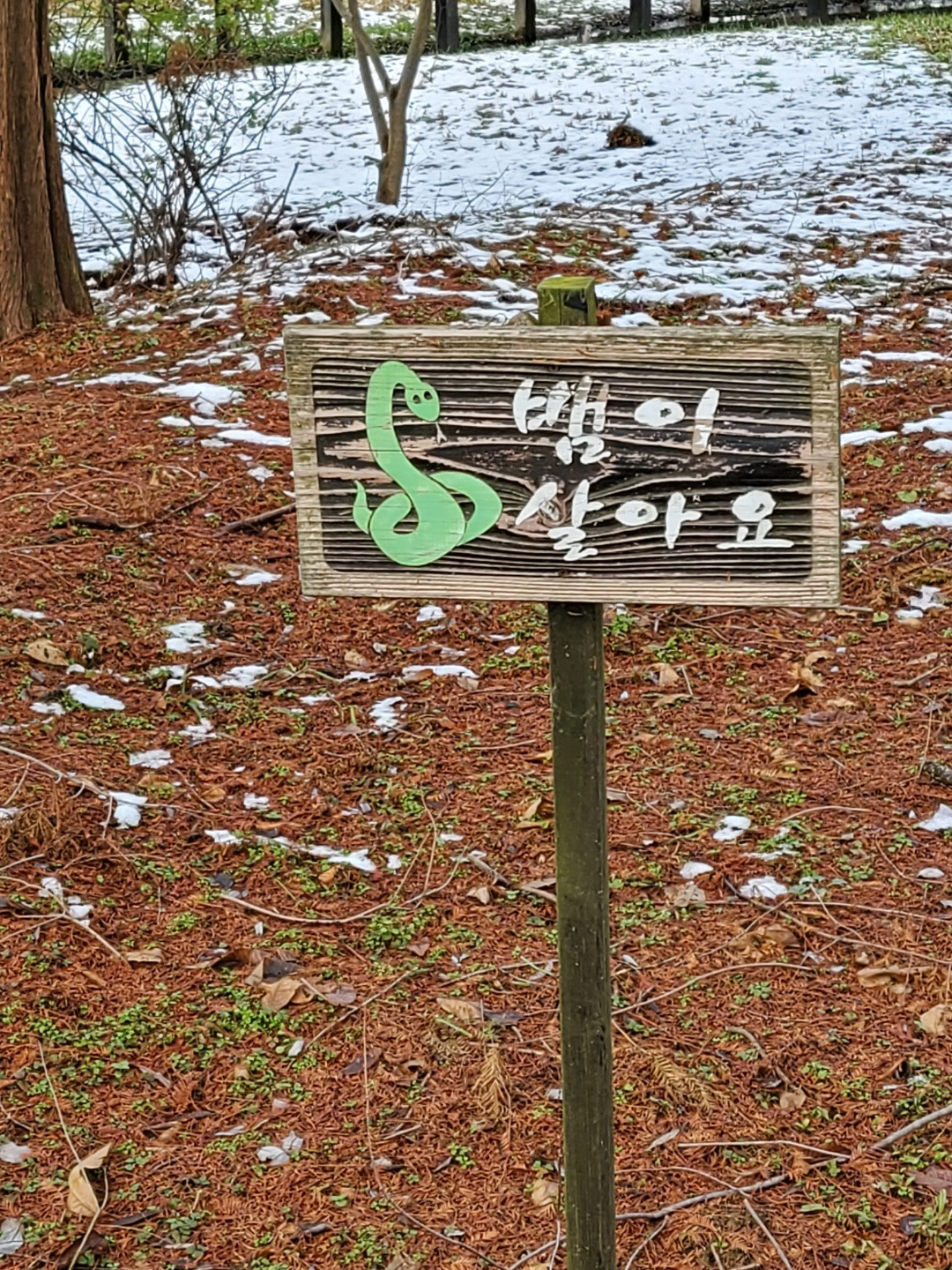 뱀이 살아요.jpg