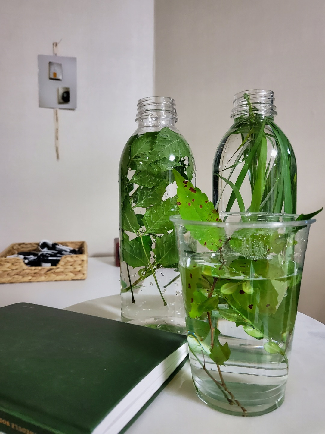 전체 이미지1.jpg