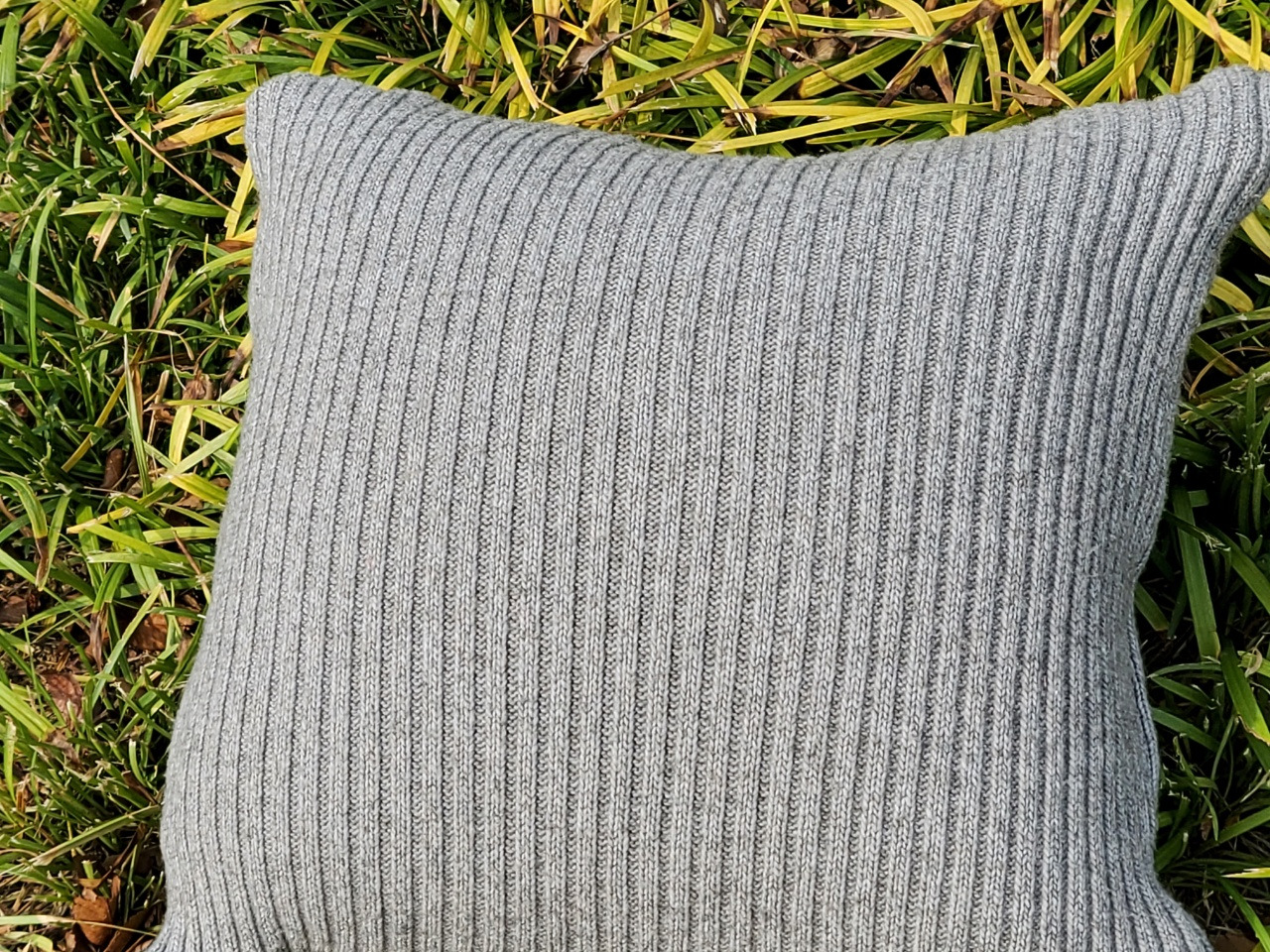 쿠션과 플잎.jpg