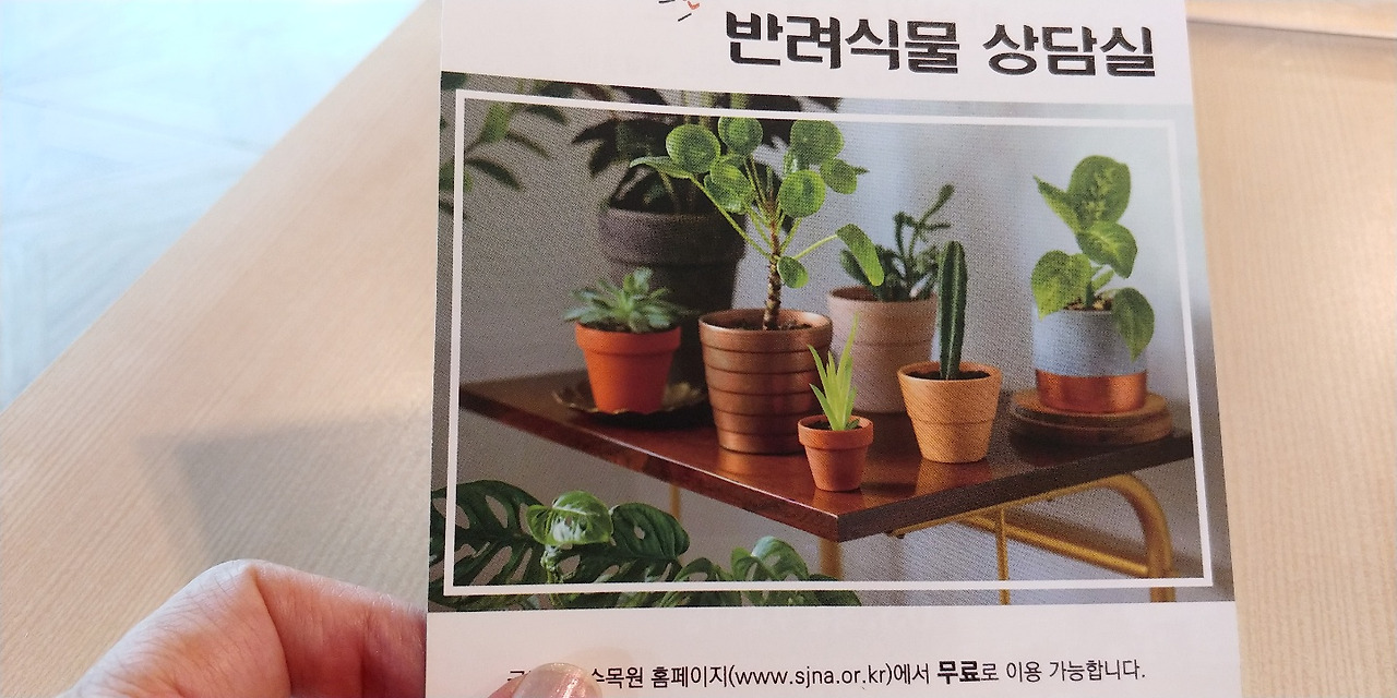 반려식물 엽서.jpg
