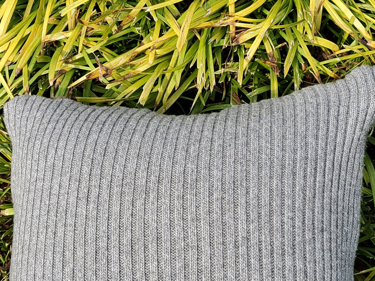 쿠션과 풀잎 2.jpg