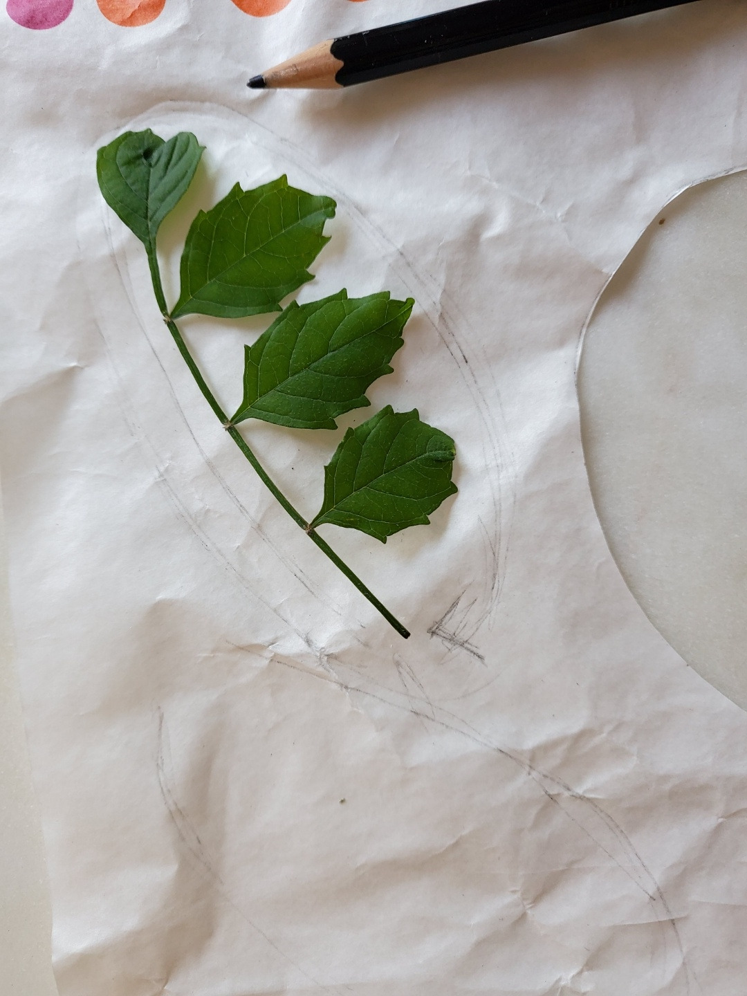 북마커 종이에 밑그림.jpg