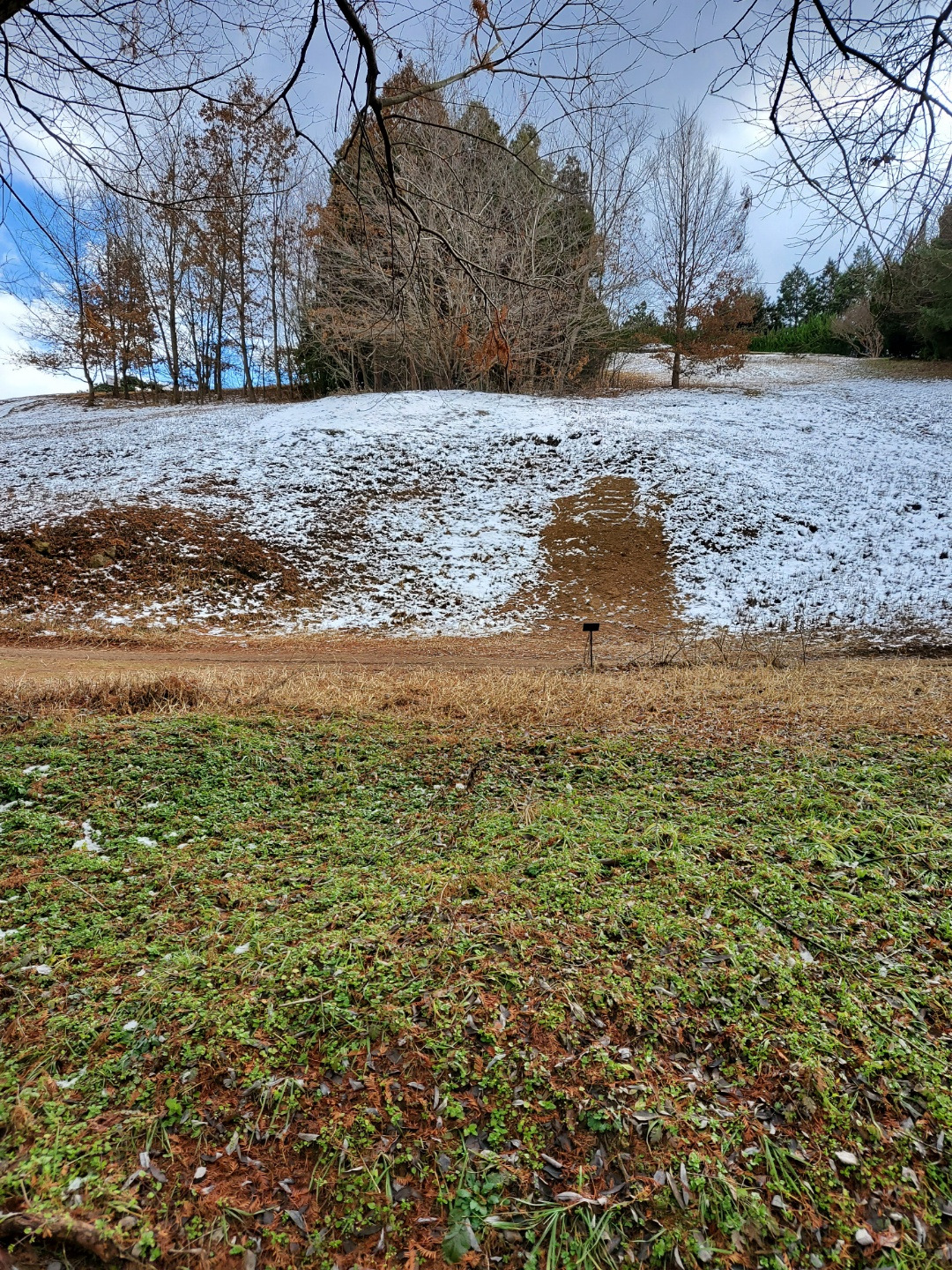 광주호 생태공원_길3.jpg