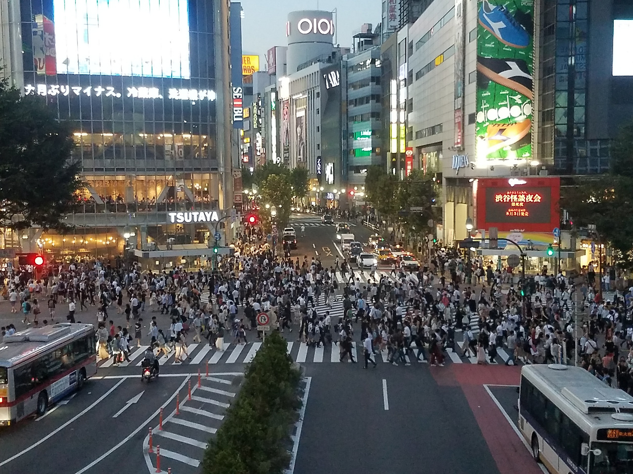 시부야교차로.jpg