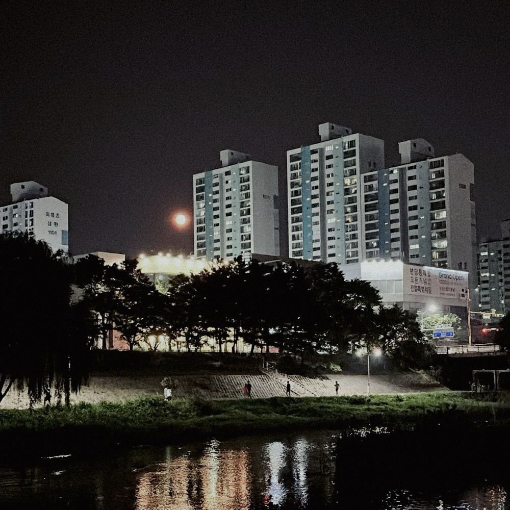 4. 산책 사진.jpg