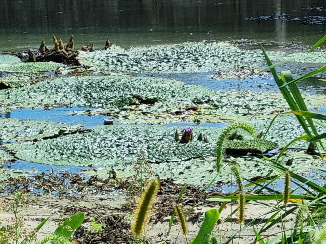 2021-09-09 11.45.45.jpg