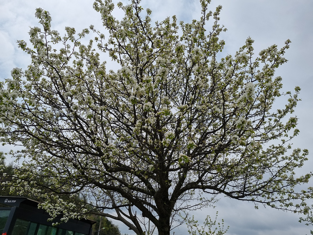 2022-04-30 11.28.42.jpg