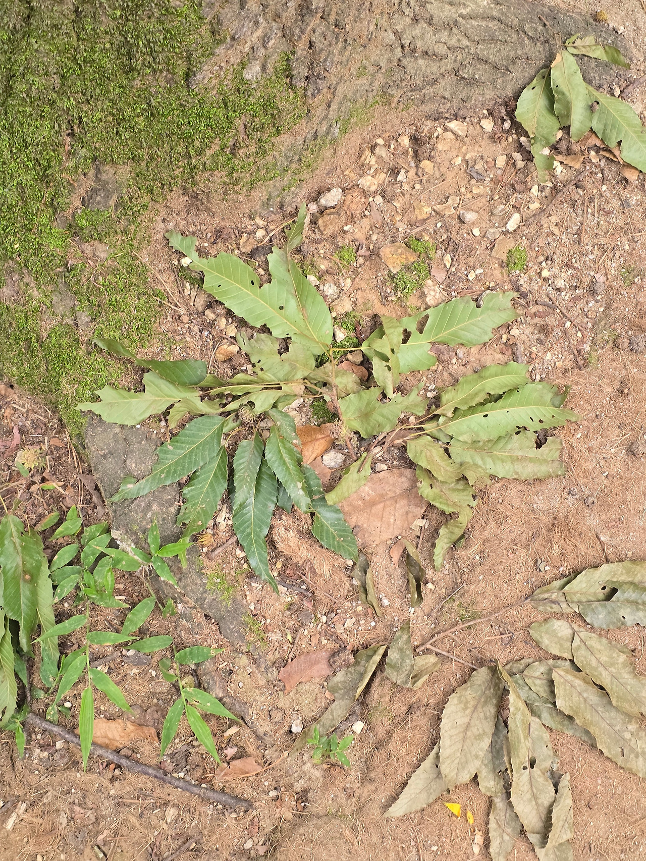 KakaoTalk_20250814_094422829 (1).jpg