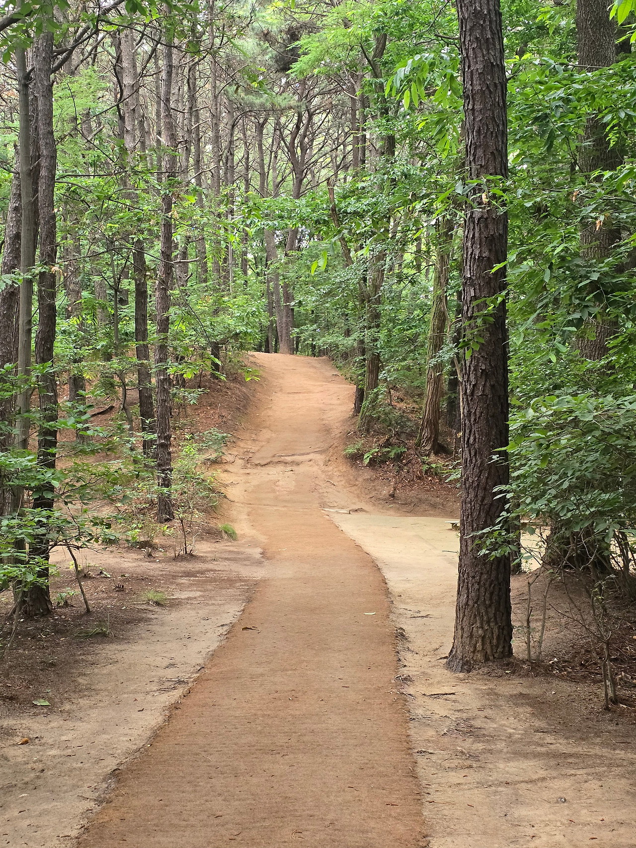 KakaoTalk_20250705_103112821 (1).jpg