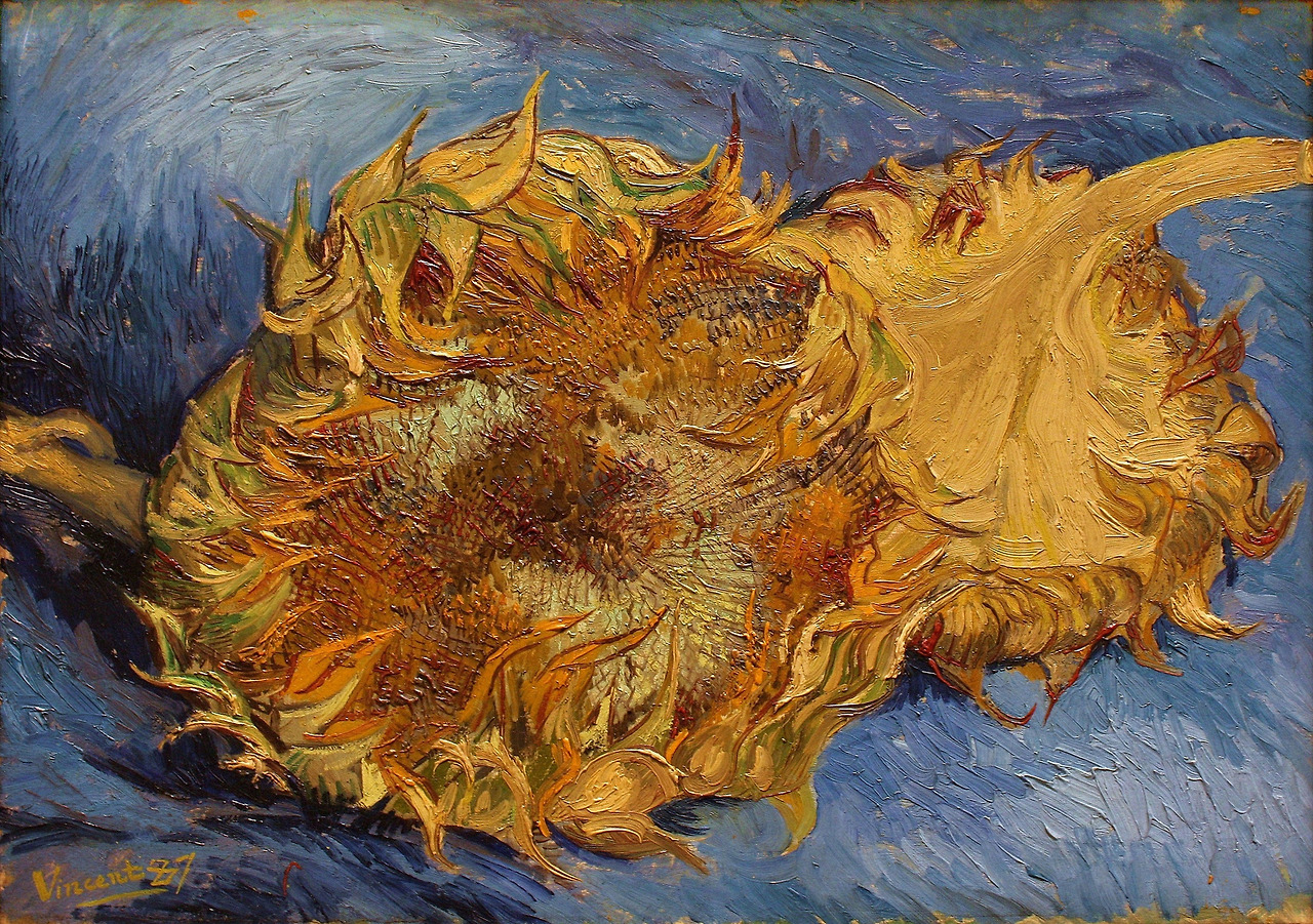 Sunflowers - The Metropolitan Museum of Art.jpg