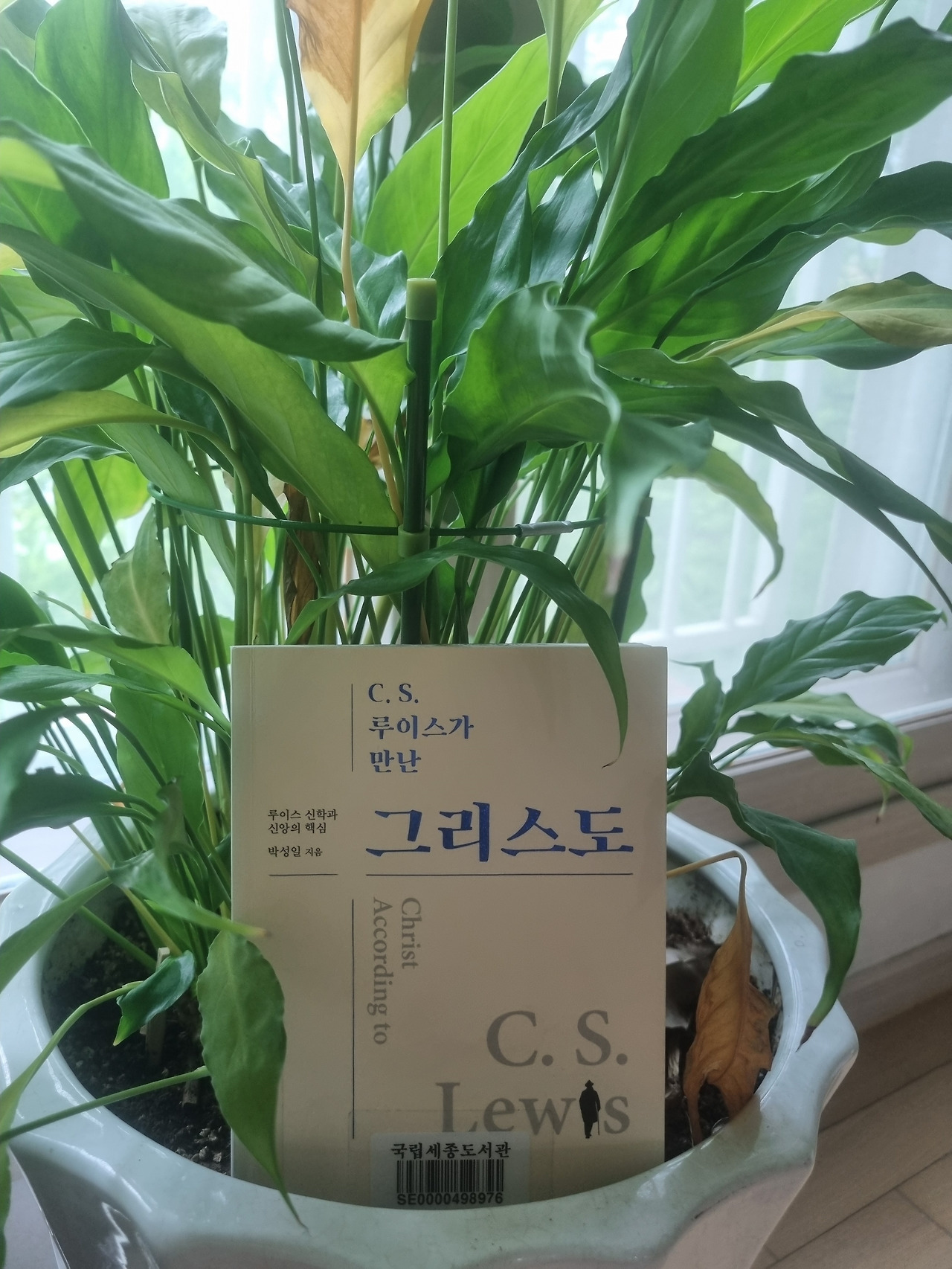 다운로드 (1).jpg