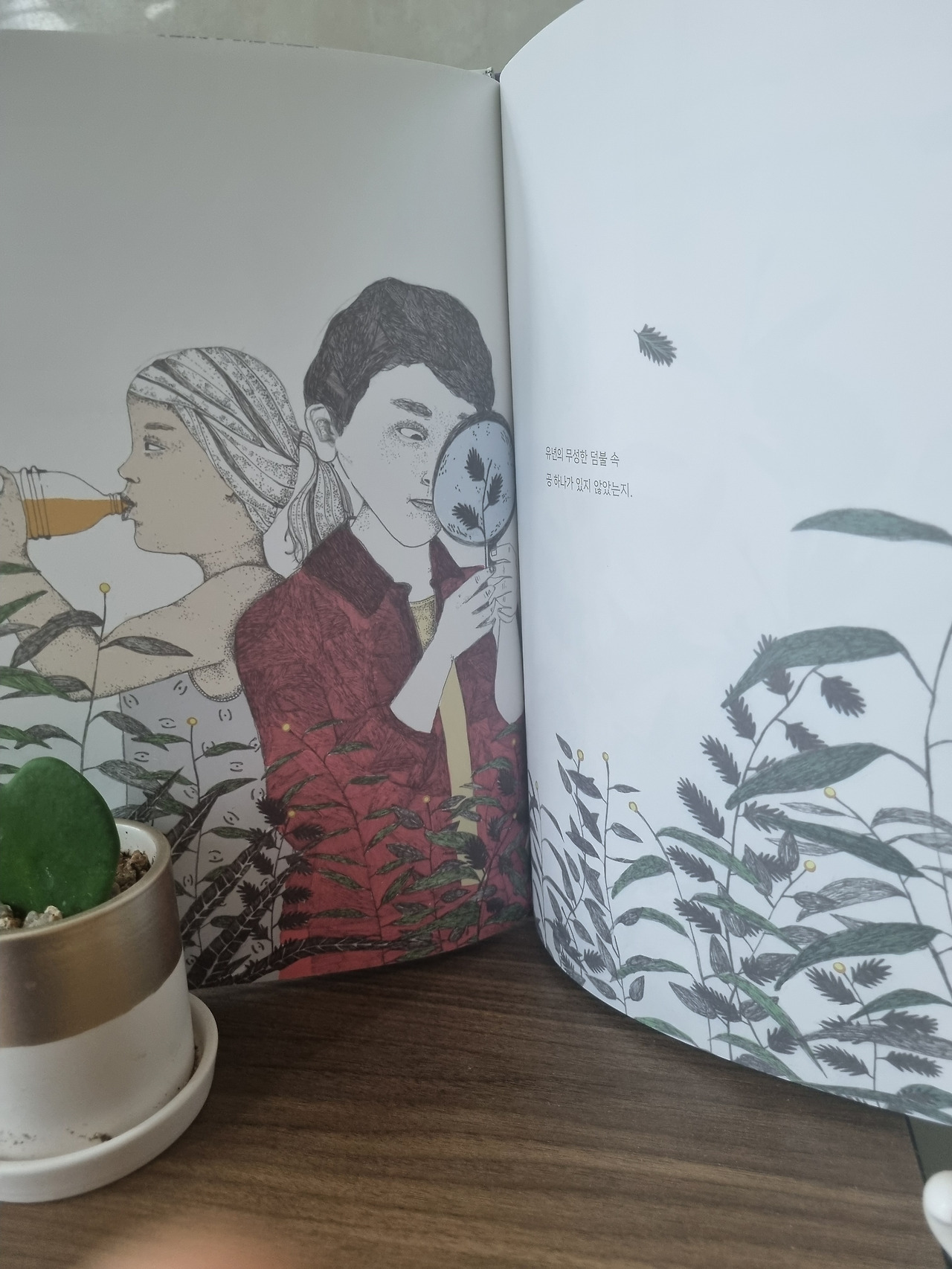 다운로드 (1).jpg