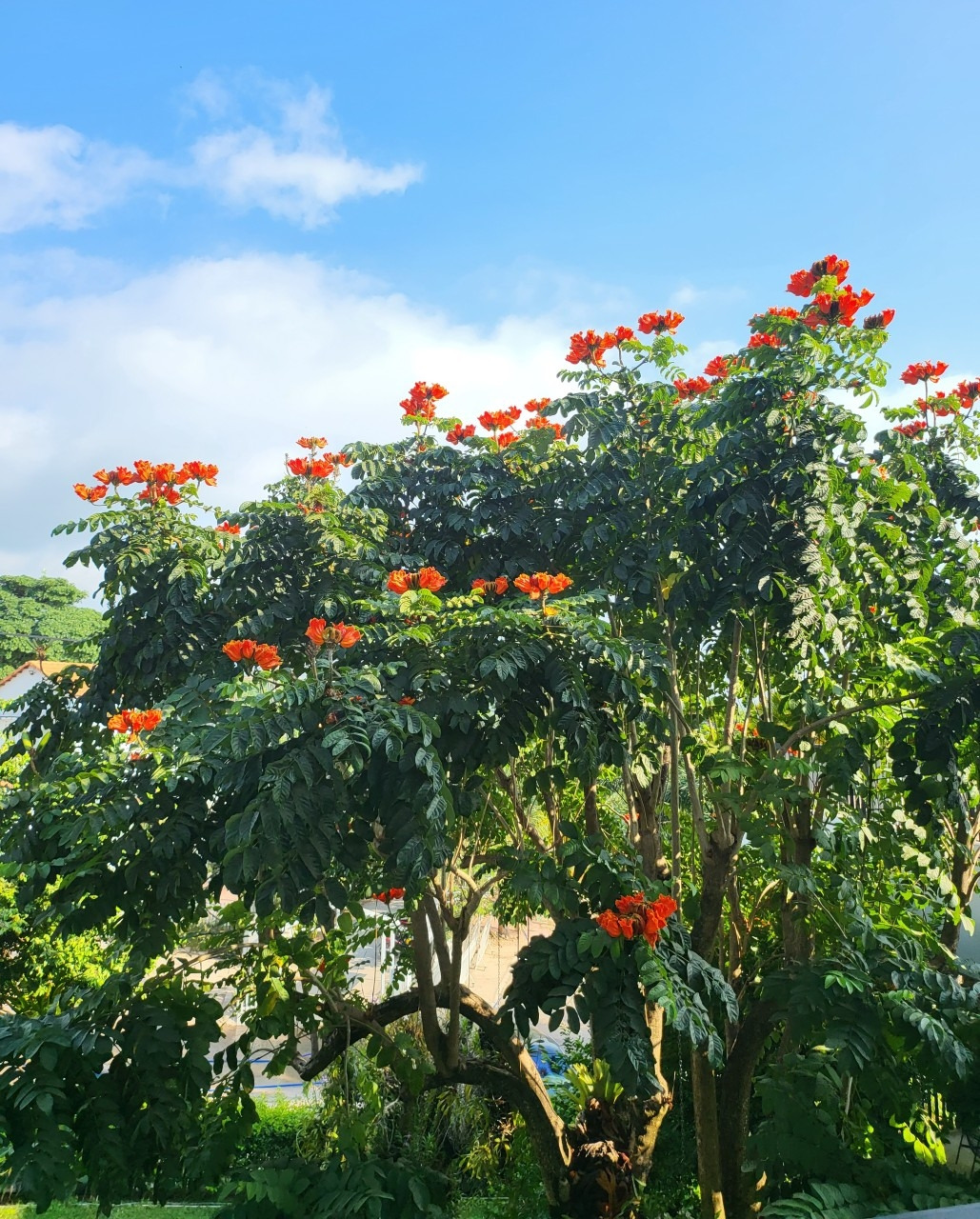 24년 푸꾸옥-네쨋날 프라이빗 비취. 호텔 레스토랑-58004408527 (1).jpg