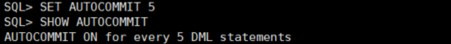 1-2-6-2-3_set_autocommit_n_명령.jpg