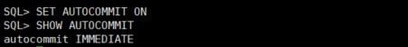 1-2-6-2-1_set_autocommit_on_명령.jpg