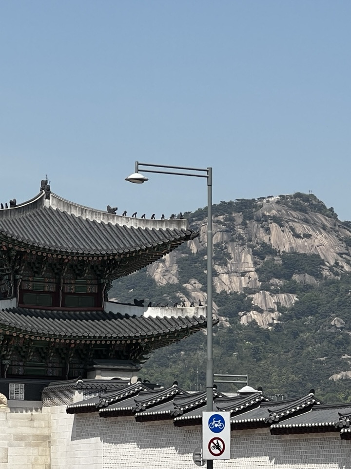 카지노 게임 추천