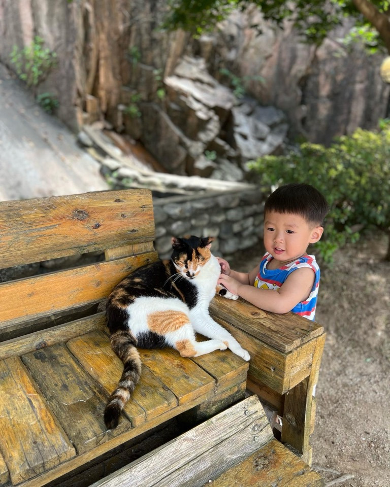 카지노 쿠폰